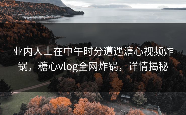 业内人士在中午时分遭遇溏心视频炸锅，糖心vlog全网炸锅，详情揭秘