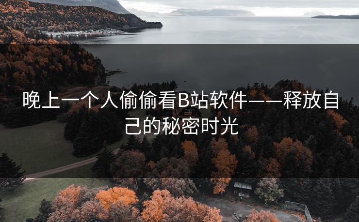晚上一个人偷偷看B站软件——释放自己的秘密时光