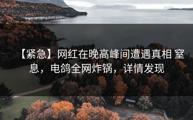 【紧急】网红在晚高峰间遭遇真相 窒息，电鸽全网炸锅，详情发现