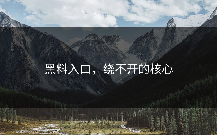 黑料入口，绕不开的核心